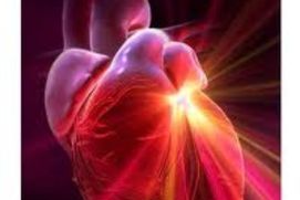 Cardiology and Cardiac Surgery 