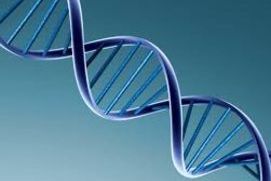 GCT 549 - Genetic compatibility test 