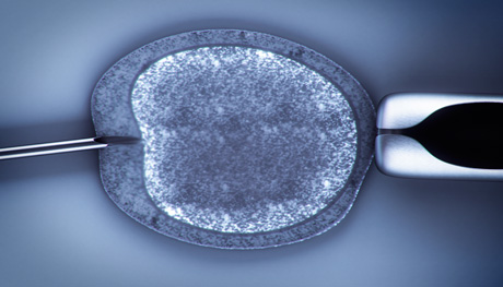 IVI CONFIRMS THAT FREEZING EMBRYOS DOES NOT AFFECT PREMATURITY OR WEIGHT IN NEWBORNS